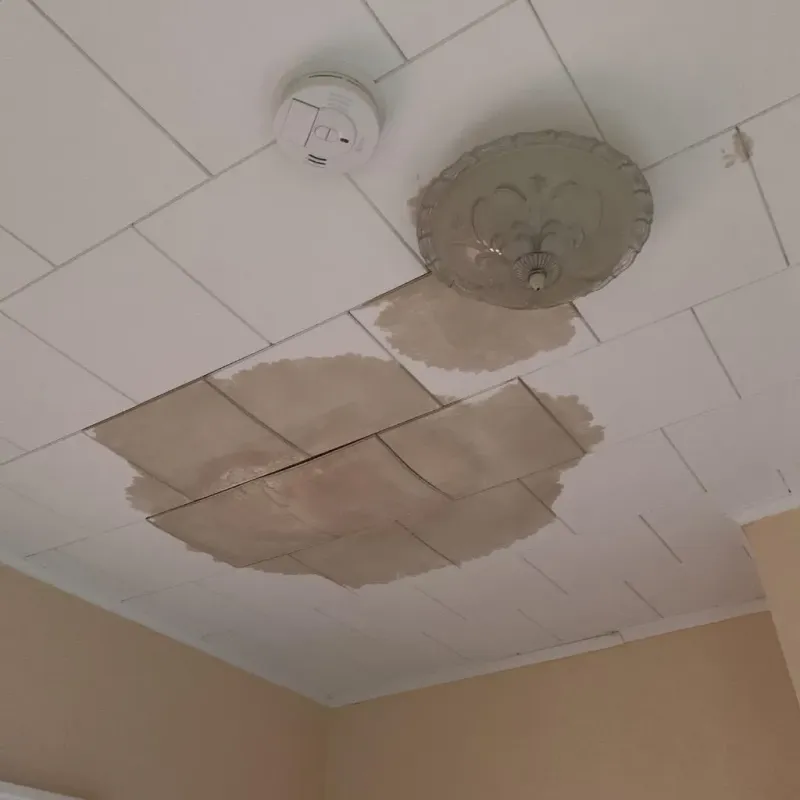 Ceiling Water Damage Repair in Seward County, KS